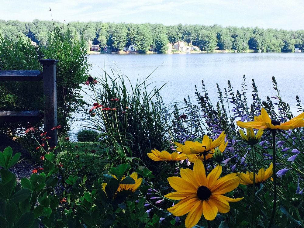 BiAnnual Meetings and Newsletters Lake Bunggee